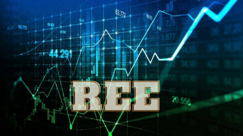 Phân tích cổ phiếu REE (update Q4/2022)