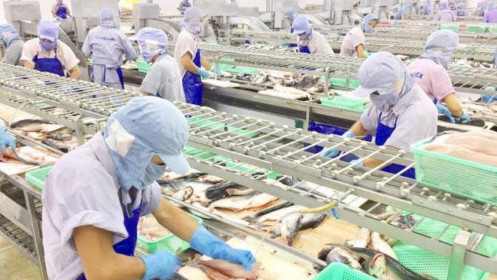 Trung Quốc mở cửa sẽ hỗ trợ xuất khẩu thủy sản Việt Nam