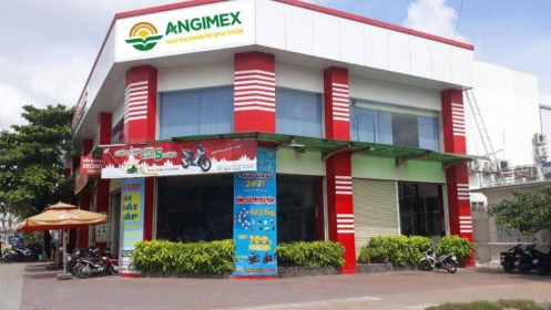 Sau Tổng Giám đốc, Chủ tịch HĐQT Louis Holdings từ nhiệm tại Angimex