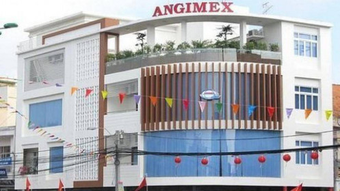 Lý do Angimex bất ngờ hoãn tổ chức ĐHĐCĐ bất thường 2022