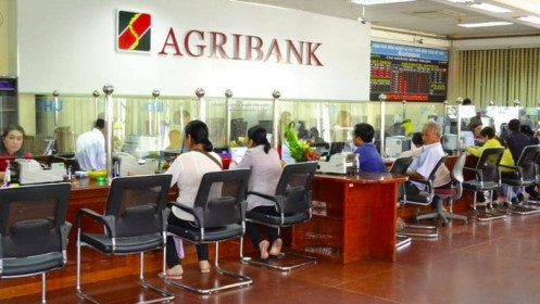 Agribank rao bán 9 quyền sử dụng đất của Địa ốc Khang Gia