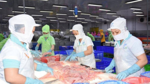 Mục tiêu xuất khẩu cá tra năm 2023 đạt 2,3 tỷ USD