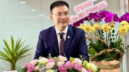 Chủ tịch Nguyễn Hồ Nam mua đủ 5 triệu cp BCG đã đăng ký