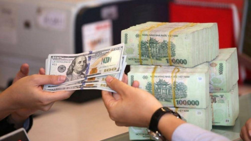 Chính sách tỷ giá linh hoạt giúp kinh tế Việt Nam giải tỏa áp lực