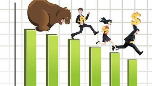 Điểm tĩnh trong đầu tư - Sống còn trong vùng rủi ro VNINDEX