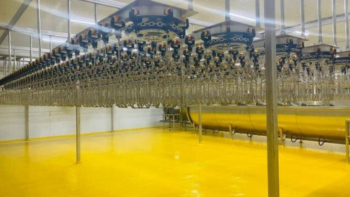 Bầu Đức đưa vào hoạt động nhà máy chế biến gà