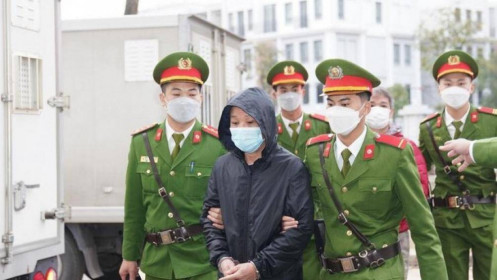 Xử vụ bà Nguyễn Thị Thanh Nhàn AIC: 1 bị cáo gửi đơn từ Mỹ về Việt Nam, xin chịu phán quyết của tòa