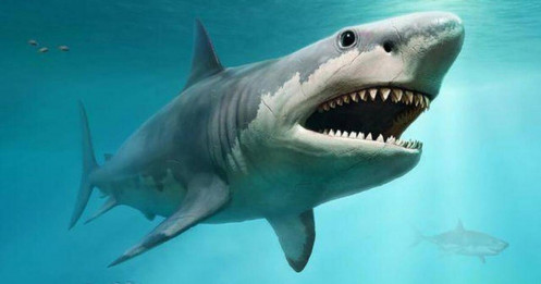 "Cá mập" nào vừa chi 800 tỷ đồng "gom" cổ phiếu VPD?