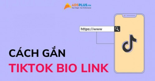 Cách gắn TikTok Bio Link cho tài khoản người dùng và doanh nghiệp