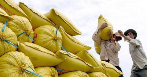 Xuất khẩu gạo dự kiến đạt 7 triệu tấn trong năm 2022