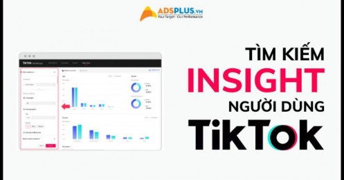 TikTok công bố tính năng Insight trực tiếp trên nền tảng