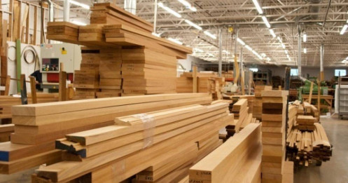Doanh nghiệp gỗ bị "treo" cả ngàn tỉ tiền hoàn thuế