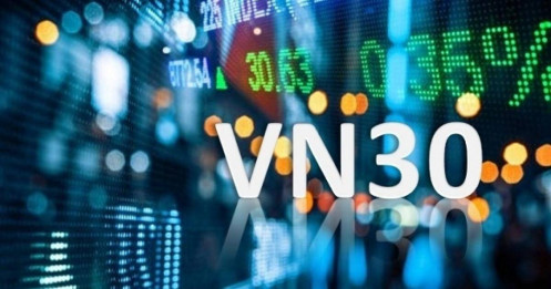 Trong năm 2023, cổ phiếu nào sáng cửa lọt rổ VN30?