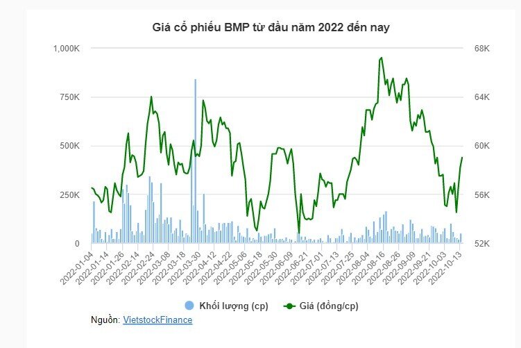 BMP sắp trả cổ tức bằng tiền tỷ lệ 31%