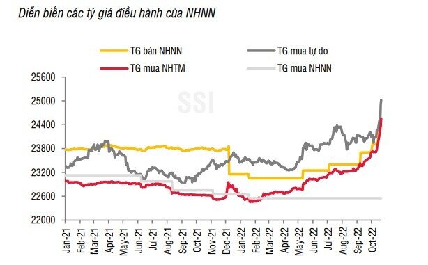 VND đã mất giá gần 9% so với USD