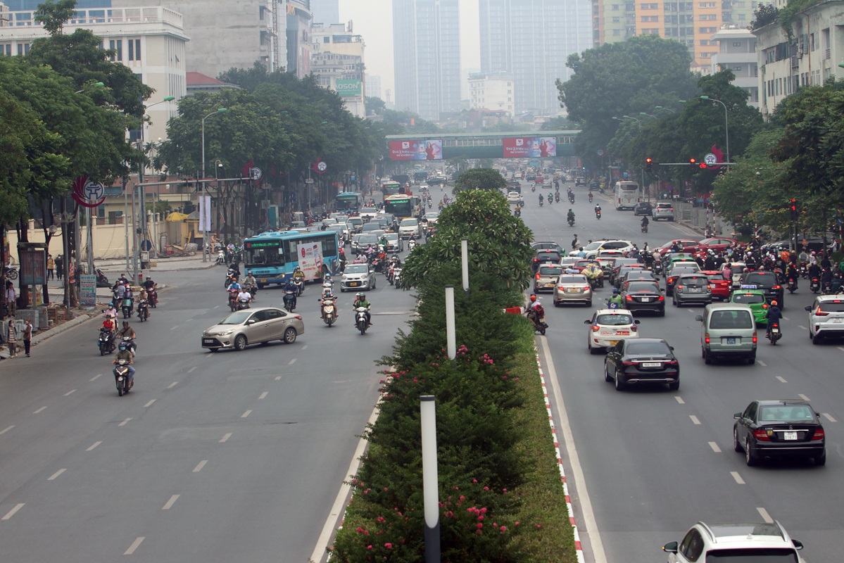 Quận Đống Đa, Hà Nội: Lại đề xuất thay cây trên đường Nguyễn Chí Thanh