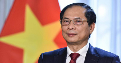 Thành tựu 'ngoại giao cây tre' của Việt Nam năm 2022