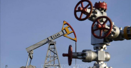 Sản lượng dầu thô của Nga có thể giảm 1 triệu thùng/ngày