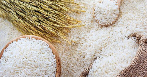 Thái Lan sợ nông dân chuyển sang trồng giống lúa của Việt Nam