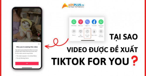 Tại sao video lại được TikTok đề xuất lên trang For You?