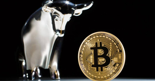 Chuyên gia dự đoán Bitcoin có thể đạt 50.000 đến 100.000 USD trong 2-3 năm nữa