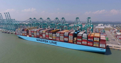 Thị trường vận tải container đang bước vào giai đoạn điều chỉnh?