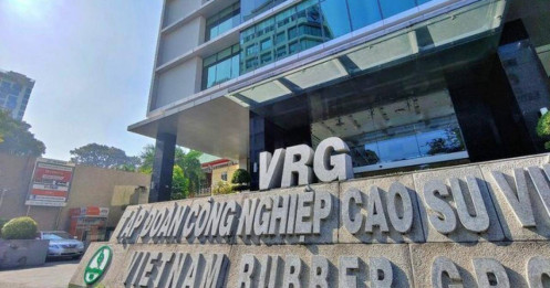 Tập đoàn Cao su Việt Nam đem về hơn 25.000 tỷ đồng doanh thu năm 2022