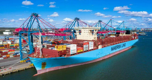 Ông lớn vận tải biển Maersk báo lãi kỷ lục trong năm 2022