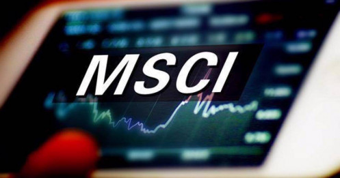 7 cổ phiếu Việt Nam bị loại khỏi rổ MSCI Frontier Markets Small Cap Index
