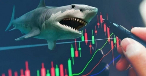 Trong 2 tháng qua, "cá mập" nào đã gom hơn 20 triệu cổ phiếu STB?