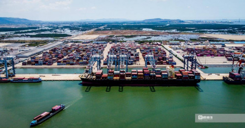 Nhiều doanh nghiệp cảng biển đi lùi trong năm 2022