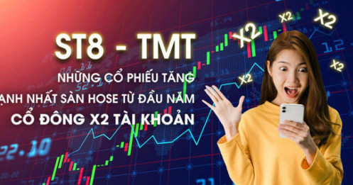 ST8 - TMT, những cổ phiếu tăng mạnh nhất sàn HOSE từ đầu năm, cổ đông X2 tài khoản