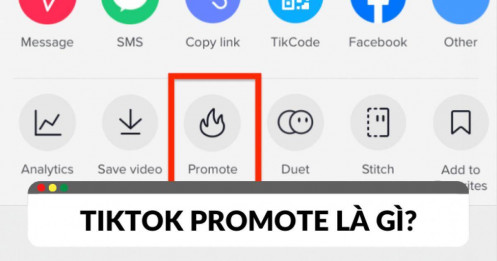 TikTok promote là gì? Cách tăng lượng khán giả trên TikTok