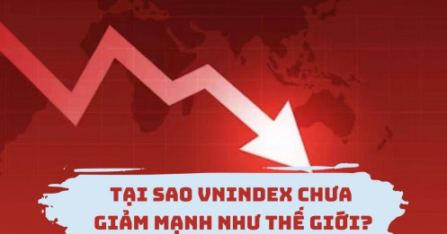Tại sao VN-Index chưa giảm mạnh như thế giới?