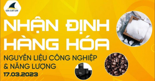 Nhận Định Hàng Hoá Năng Lượng & Nguyên Liệu Công Nghiệp Ngày 17/03/2023