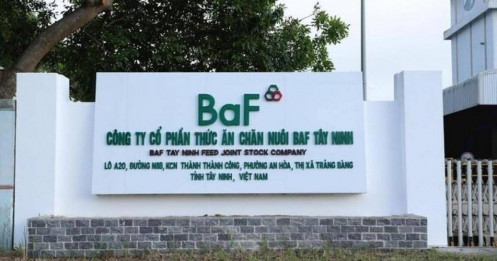 IFC hoàn tất giải ngân đợt đầu vào BAF, trị giá 600 tỷ đồng