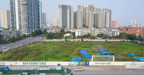 Cây cỏ mọc um tùm bên trong siêu dự án gần 4.000 tỷ đồng của Booyoung