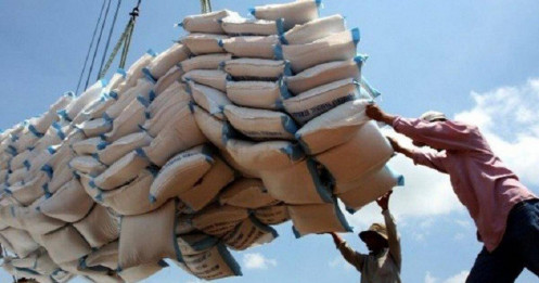 Tin vui: Giá gạo xuất khẩu Việt Nam cao nhất thế giới