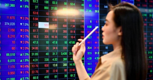 Những nhóm cổ phiếu nào có diễn biến tích cực trong tuần này?