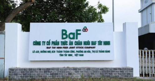 Nông nghiệp Baf (BAF) huy động thành công 600 tỷ đồng trái phiếu