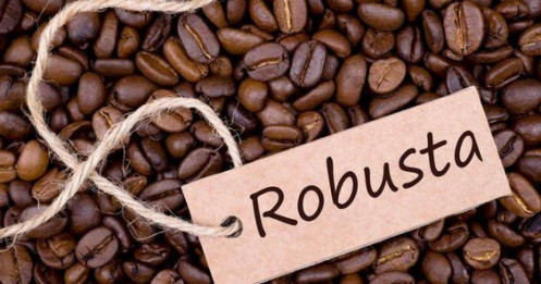Cà phê Robusta dự báo nhịp giảm đáng kể