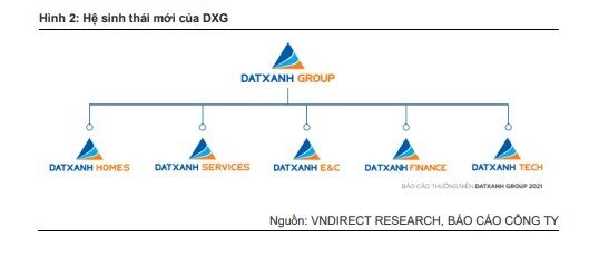 Áp lực nào sẽ "bủa vây" DXG trong những năm tới?