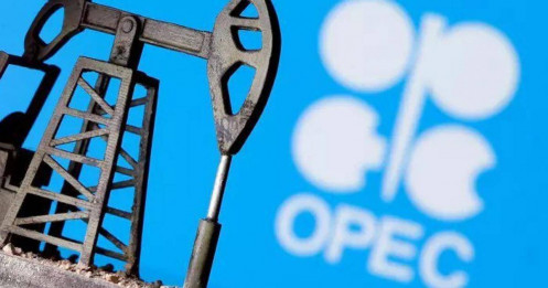 Việc cắt giảm sản lượng dầu bất ngờ của OPEC + có nghĩa là gì?