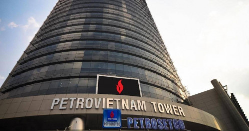 Petrosetco (PET) đặt mục tiêu lợi nhuận năm 2023 tăng trưởng 43%