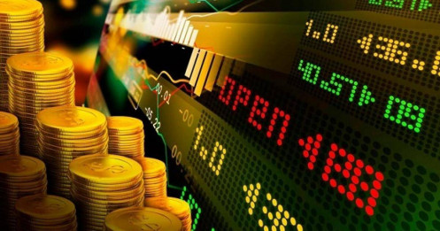 Thị trường hiện tại đang ở đâu?