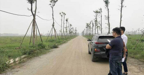 Khi "cò" đất trở thành "cuội" đất