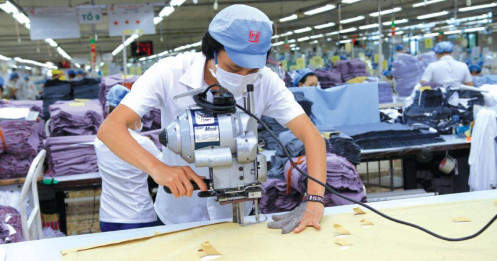 IMF và WB hạ mức dự báo tăng trưởng GDP của Việt Nam