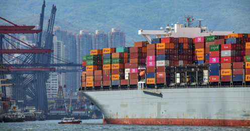 Thêm một doanh nghiệp Việt bị lừa xuất khẩu 5 container điều