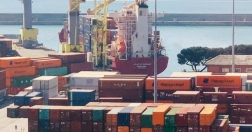 Doanh nghiệp suýt mất 5 container điều xuất sang Algeria