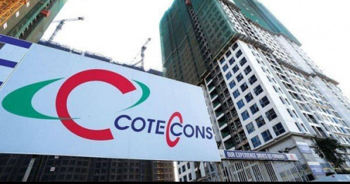 Coteccons dự phòng nợ xấu liên quan Tân Hoàng Minh hơn 1.000 tỷ đồng